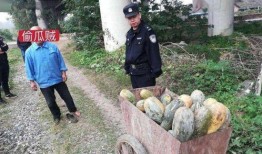 宜丰网红吃瓜事件真相视频,揭秘真相背后的惊人内幕